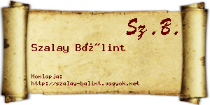 Szalay Bálint névjegykártya