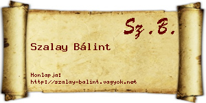 Szalay Bálint névjegykártya
